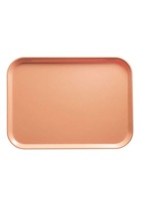 Imagen 2 del producto Bandeja Fibra De Vidrio Durazno Oscuro