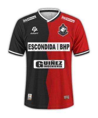 CAMISETA VISITA CDA 2025 ADULTO DA002/A