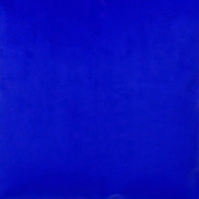 Imagen 2 del producto Cojin Felpa New Velvet 30X60 AZUL