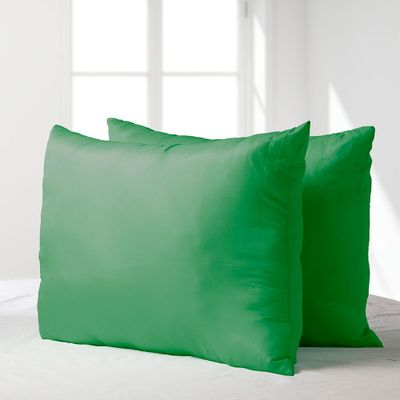 Imagen 2 del producto Set 2 almohadas premium Eco colores 50x70 verde