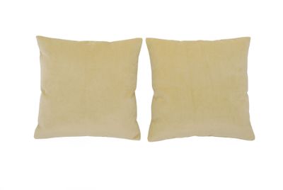 Set 2 Cojines Felpa de 40x40 Beige