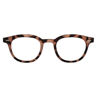 LENTES PARA PANTALLA W.A.R RIVER TORTOISE
