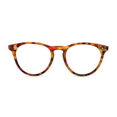 LENTES PARA PANTALLA W.A.R LAKE TORTOISE BLUE