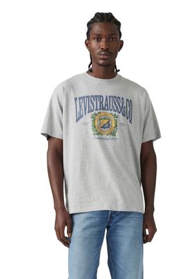 Polera Hombre Vintage Fit Graphic Tee Gris Levis 87373-0216