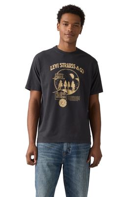 Polera Hombre Vintage Fit Graphic Tee Gris Levis 87373-0257