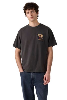 Polera Hombre Vintage Fit Graphic Tee Gris Levis 87373-0360