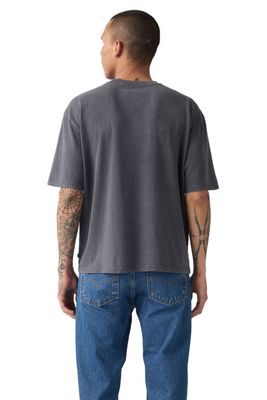 Imagen 2 del producto Polera Hombre Lockwood Practice Tee Gris Levis 003QV-0000