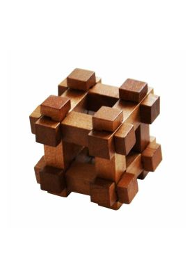 Imagen 2 del producto Darwin's Chest Puzzle - Great Minds Mini Puzzle de Madera