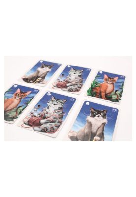 Imagen 2 del producto Cathood