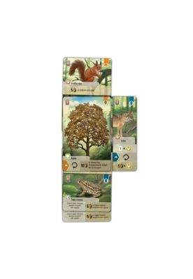 Imagen 2 del producto Forest Shuffle