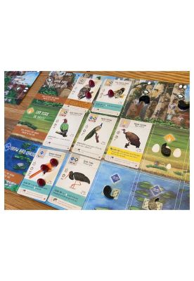 Imagen 2 del producto Wingspan Expansión Asia