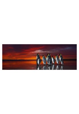 Imagen 2 del producto Puzzle Rompecabezas Heye 1000 - King Penguins