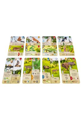 Imagen 2 del producto Forest Shuffle Linde del Bosque