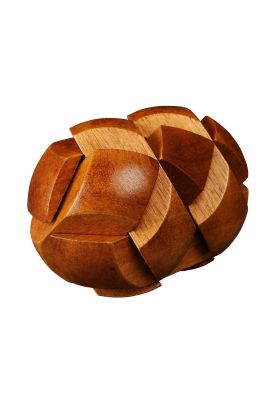 Imagen 2 del producto Darwin's Egg of Evolution - Great Minds Puzzle de Madera