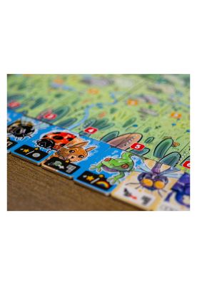 Imagen 2 del producto Solsticio