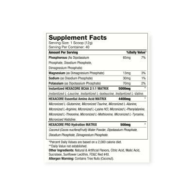 Imagen 2 del producto AMINO OXY 6 40 SERVICIOS 480GR FRENETIC CITRUS  - HEXACORE