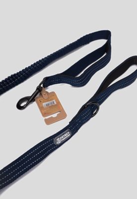 Imagen 2 del producto Correa Elástico para Adiestramiento Azul Chinitown