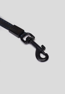 Imagen 2 del producto Correa Retráctil con Diseño Blanco Chinitown