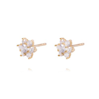 Imagen 2 del producto Aros de Oro 18kt Roseta Circonita Cubica