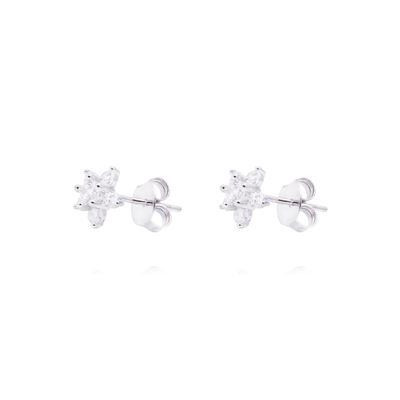 Aros de Plata Esterlina Lady Circonita