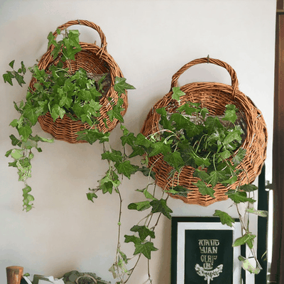 Imagen 2 del producto Juego De Dos Macetas De Flores Para Colgar Pared