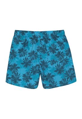 Imagen 2 del producto Traje de Baño Niño Short Est. Palmeras H2O Wear