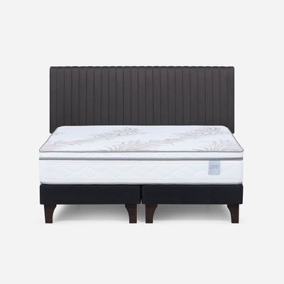 Cama Europea Neo Plus King BD + Respaldo Lucio Grafito