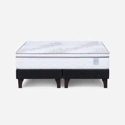 Imagen 2 del producto Cama Europea Neo Plus King + Almohadas Microfibra Feel