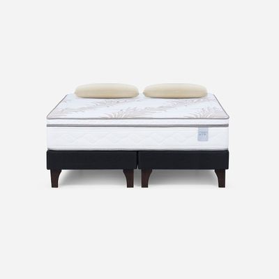 Cama Neo Plus 2 Plazas 150x200 cm + Almohadas Esencial