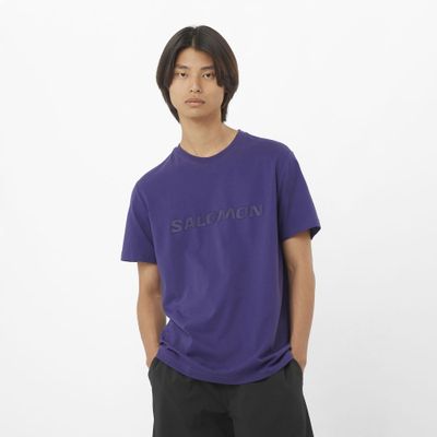 Polera Hombre Salomon Big Logo Tee M Az Salomon