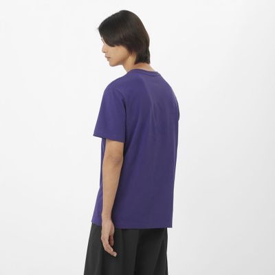 Imagen 2 del producto Polera Hombre Salomon Big Logo Tee M Az Salomon