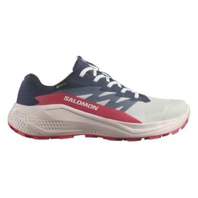Imagen 1 del producto Zapatilla Mujer Alphaglide Gtx W Az Salomon