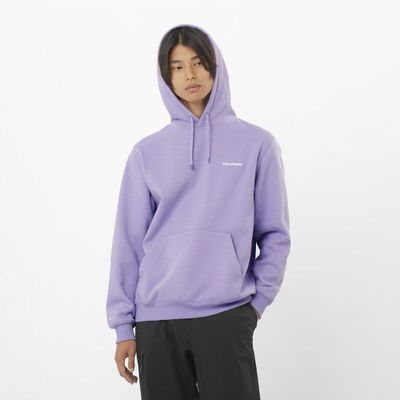 Polerón Hombre Salomon Logo Hoodie M Mu Salomon