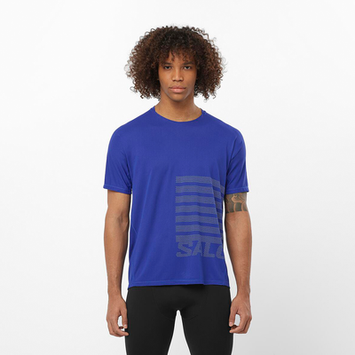 Imagen 2 del producto Polera Hombre Sense Aero Ss Tee Gfx M Az Salomon