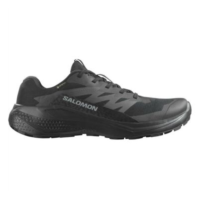 Zapatilla Hombre Alphaglide Gtx Ne Salomon