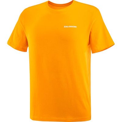Polera Hombre Graphic Perf Ss Tee M Na Salomon