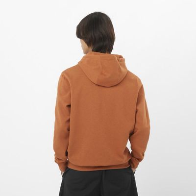 Imagen 2 del producto Polerón Hombre Salomon Big Log Salomon