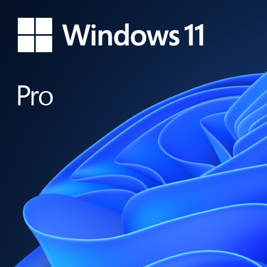 Sistema Operativo Windows 11 Pro OEM Español