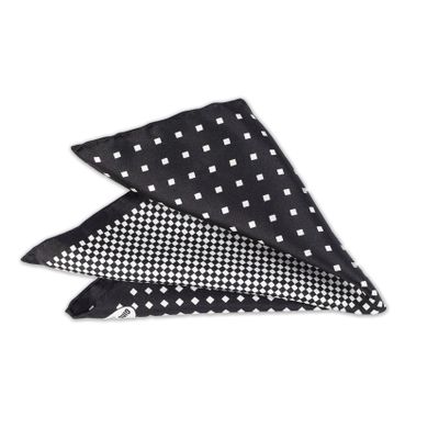 Imagen 2 del producto Pañuelo de Bolsillo Gino Rodinis PA014