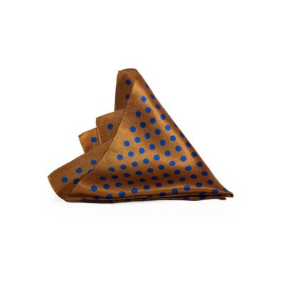 Imagen 2 del producto Pañuelo de seda PA003