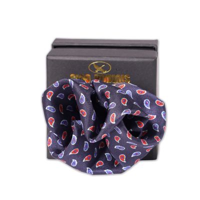 Imagen 1 del producto Pañuelo de Bolsillo Gino Rodinis PA021