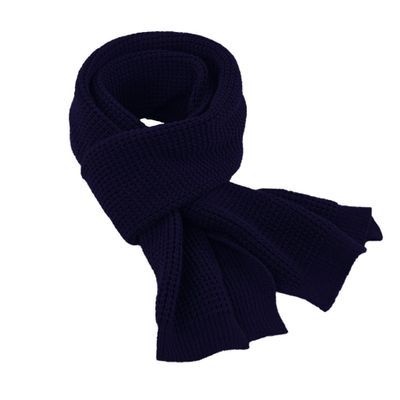 Imagen 2 del producto Bufanda Gino Rodinis 2041 Azul