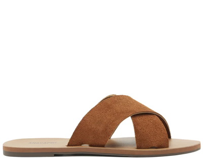 Imagen 1 del producto Sandalia Alba Anacapri Cafe C3001404490001