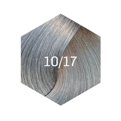 Imagen 2 del producto Tinturas new gloss 60ml 10/17 azul ceniza