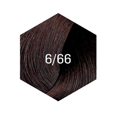 Imagen 2 del producto tintura new gloss 60ml 6/66 castaño