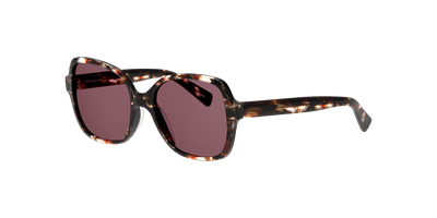 Imagen 2 del producto Anteojos De Sol Dbyd DB4012 Dbsf5008 Havana Unisex