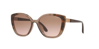 Imagen 2 del producto Anteojos De Sol Jack Pacific JK1043U  Havana Mujer