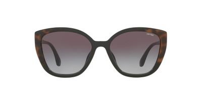 Anteojos De Sol Jack Pacific JK1043U Black + Gradient Havana Light Grey Gradient Dark Grey Negro Mujer
