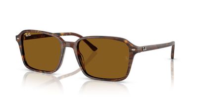 Imagen 2 del producto Lentes De Sol Ray-Ban RB2231 Raimond Café Unisex