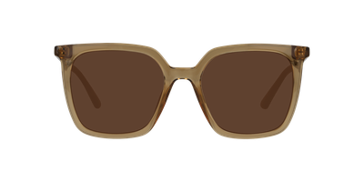 Lentes De Sol Seen  NE6076 Café Mujer